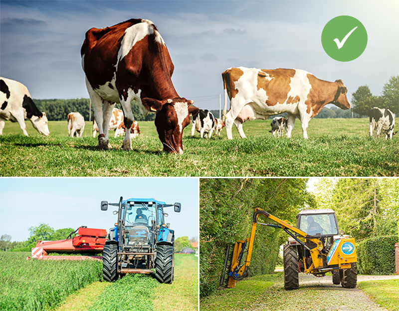 Grazing, silage and hedge trimming