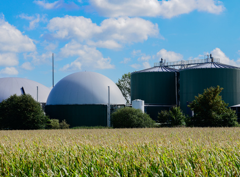 Biomethane plant