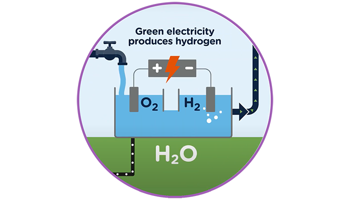 Green hydrogen production