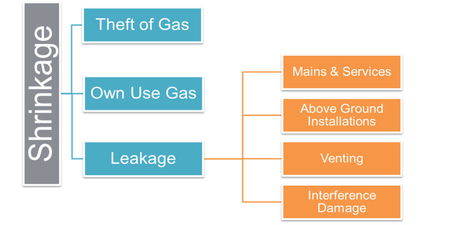 A diagram explaining the different causes of shrinkage